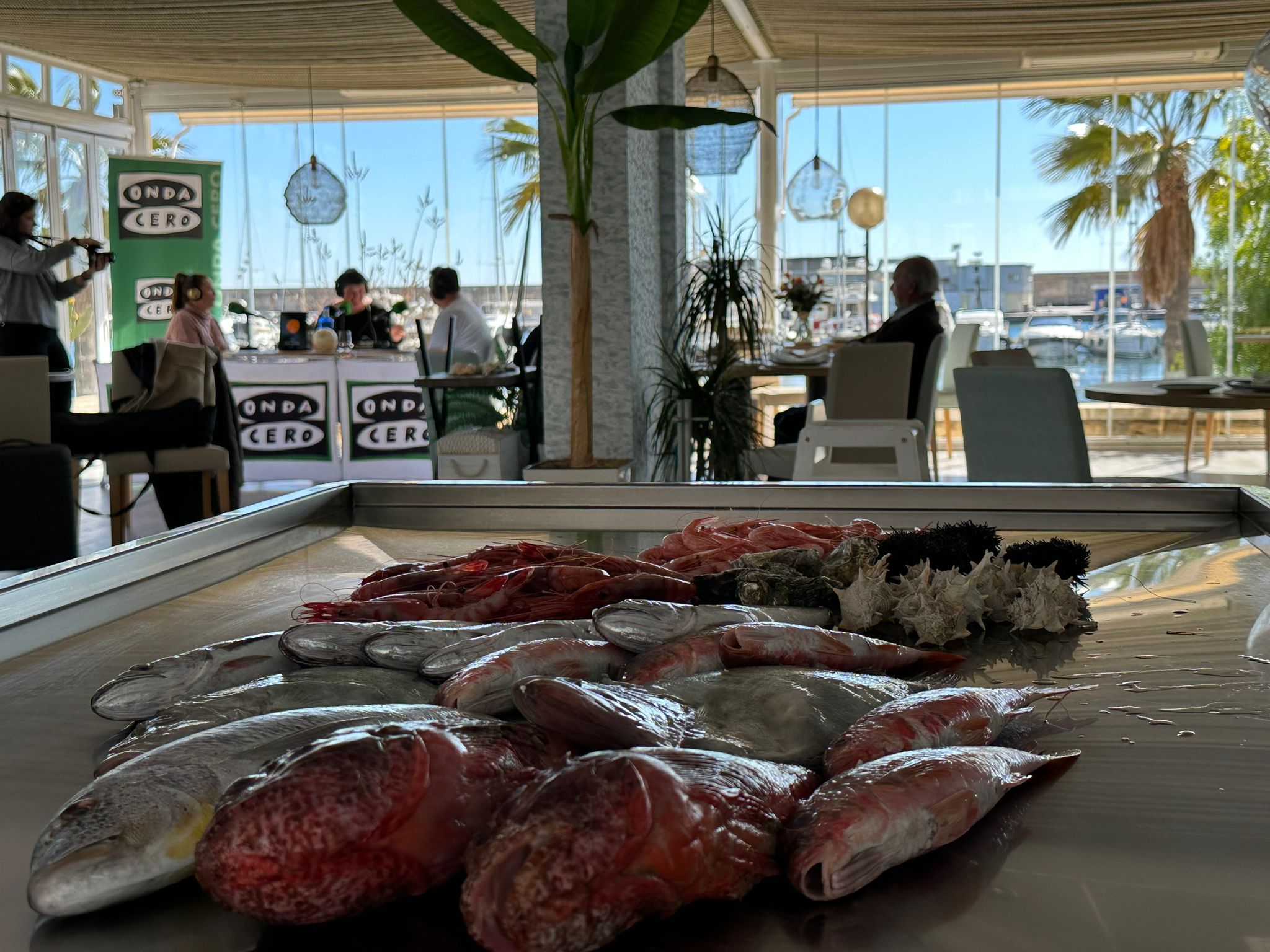 Herick Campos destaca la calidad del Hogar del Pescador, premiado con un Sol Repsol Herick Campos destaca la calidad del Hogar del Pescador, premiado con un Sol Repsol