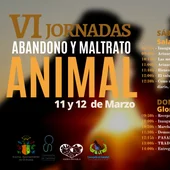 La Concejalía de Sanidad de Orihuela organiza las VI Jornadas sobre abandono y maltrato animal La Concejalía de Sanidad de Orihuela organiza las VI Jornadas sobre abandono y maltrato animal