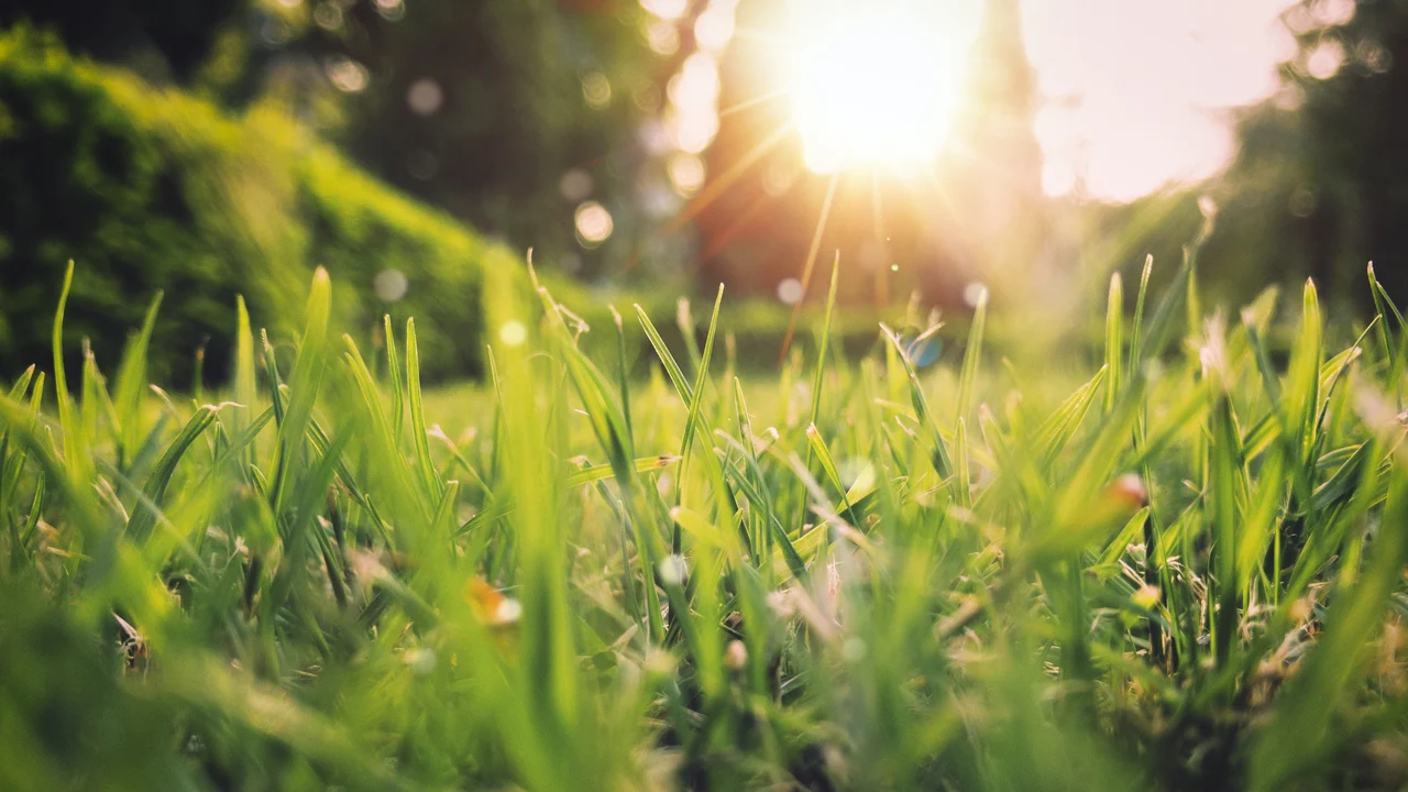 Más sol, mejores temperaturas y florecen los campos: así es como llega la primavera