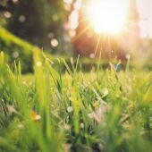 Más sol, mejores temperaturas y florecen los campos: así es como llega la primavera
