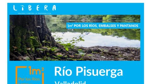 rio pisuerga limpieza