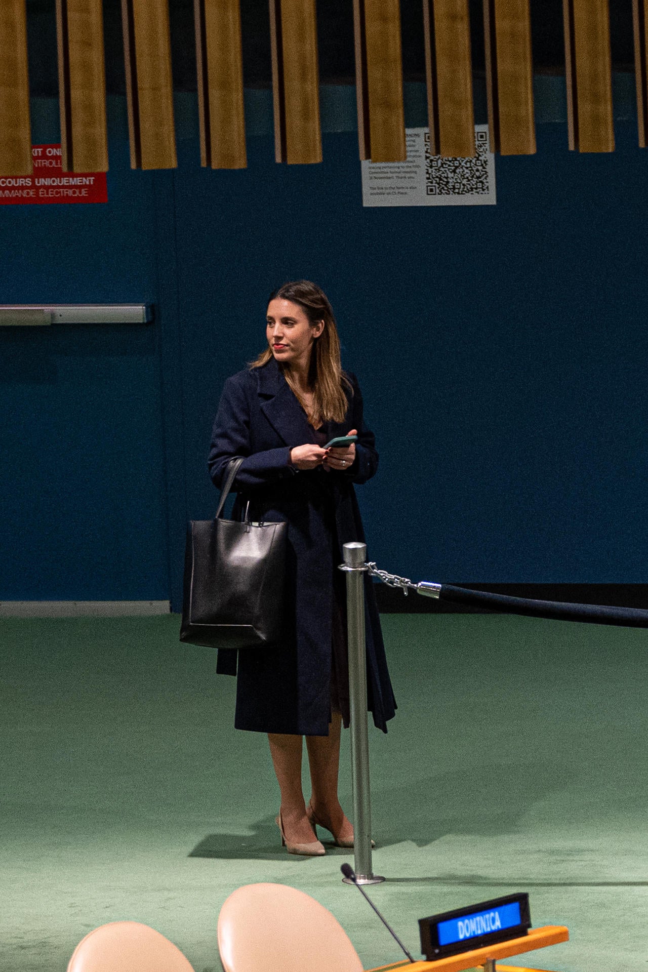 Irene Montero exhibe en la ONU los éxitos de la agenda feminista del Gobierno Irene Montero exhibe en la ONU los éxitos de la agenda feminista del Gobierno