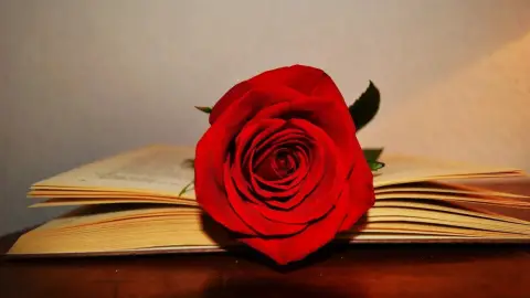 El Sant Jordi 2023 tindrà un 10% més d’espai a Barcelona El Sant Jordi 2023 tindrà un 10% més d’espai a Barcelona