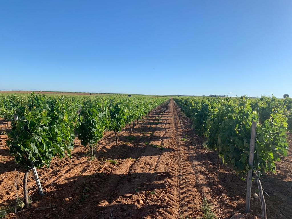 9,2 millones de euros a los agricultores y ganaderos de la PAC en la provincia 9,2 millones de euros a los agricultores y ganaderos de la PAC en la provincia