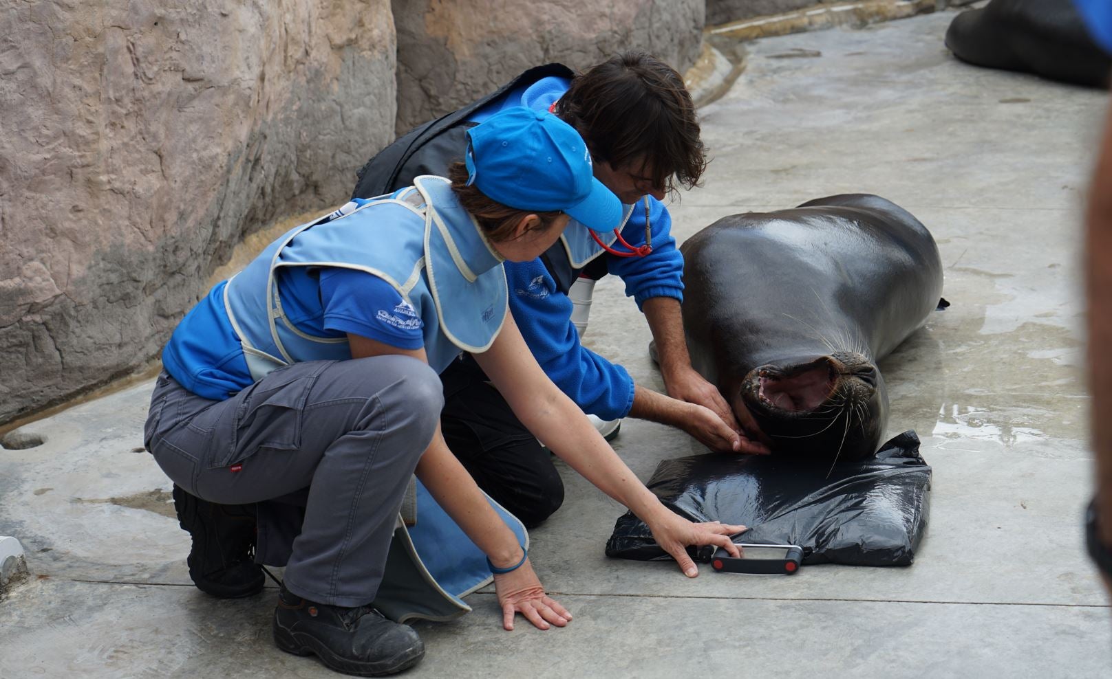 Vuelve la Escuela de Pascua del Oceanogràfic de València Vuelve la Escuela de Pascua del Oceanogràfic de València