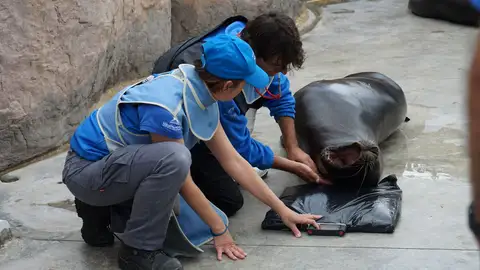 Oceanogràfic Oceanogràfic