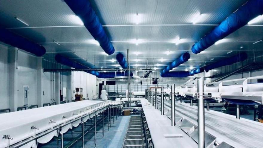 Zafra inaugura este jueves el mayor macromatadero del Suroeste Ibérico capaz de procesar 300.000 cerdos al año Zafra inaugura este jueves el mayor macromatadero del Suroeste Ibérico capaz de procesar 300.000 cerdos al año