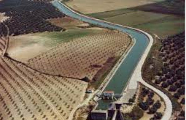 Los regantes del Genil- Cabra lanzan un SOS ante la situación que atraviesan por la falta de agua Los regantes del Genil- Cabra lanzan un SOS ante la situación que atraviesan por la falta de agua