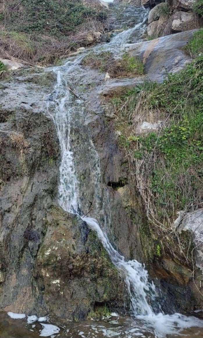 La CHT presenta el proyecto de restauración fluvial del arroyo de La Degollada de Toledo La CHT presenta el proyecto de restauración fluvial del arroyo de La Degollada de Toledo