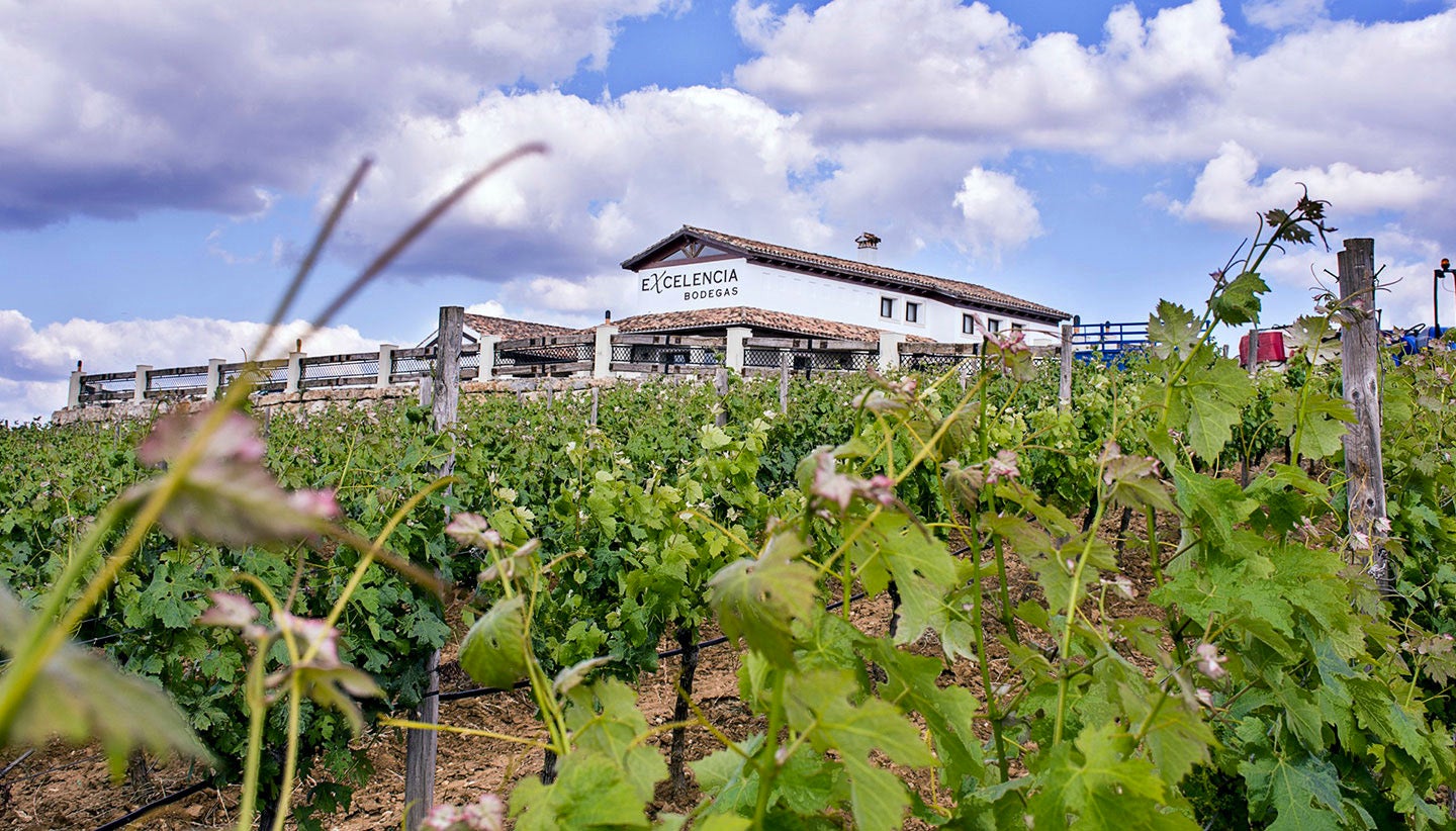 Bodegas Excelencia consigue un "Gran Oro" en el Viña Daron Rosado Syrah y un "Oro" en el Rediel Blanc Bodegas Excelencia consigue un "Gran Oro" en el Viña Daron Rosado Syrah y un "Oro" en el Rediel Blanc
