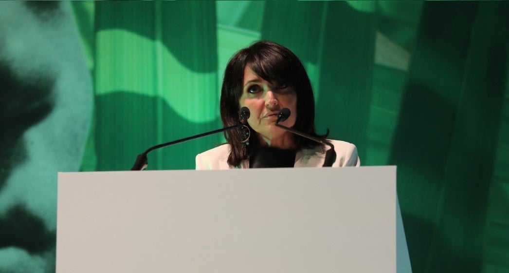 La vicepresidenta de la Diputación de Alicante, Julia Parra, abandona Ciudadanos La vicepresidenta de la Diputación de Alicante, Julia Parra, abandona Ciudadanos