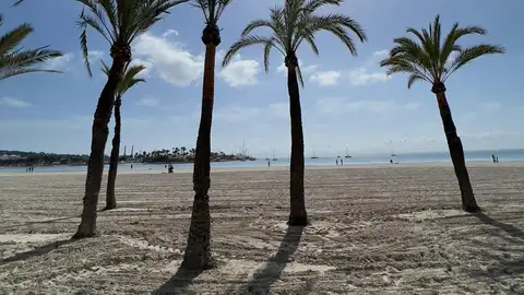 Costa de Alcúdia Costa de Alcúdia