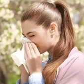 Les al·lèrgies respiratòries afecten moltes persones a la primavera Les al·lèrgies respiratòries afecten moltes persones a la primavera