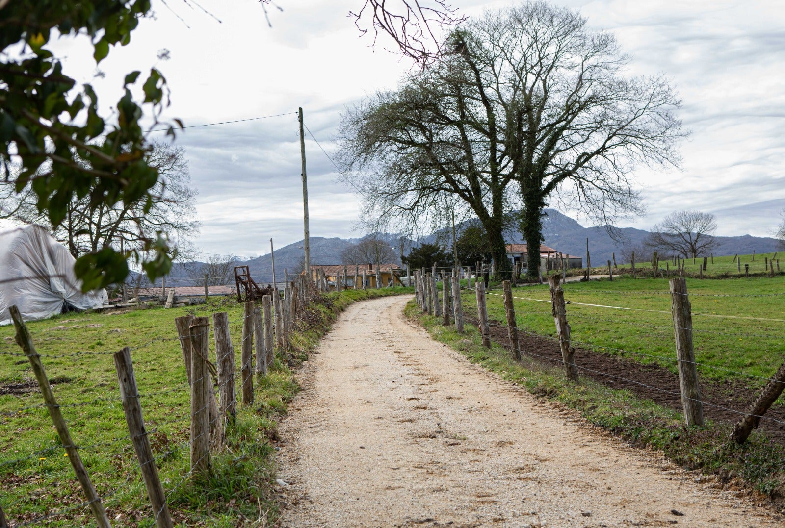 Nava invierte 18.000 euros en el reacondicionamiento de dos caminos de la zona rural Nava invierte 18.000 euros en el reacondicionamiento de dos caminos de la zona rural