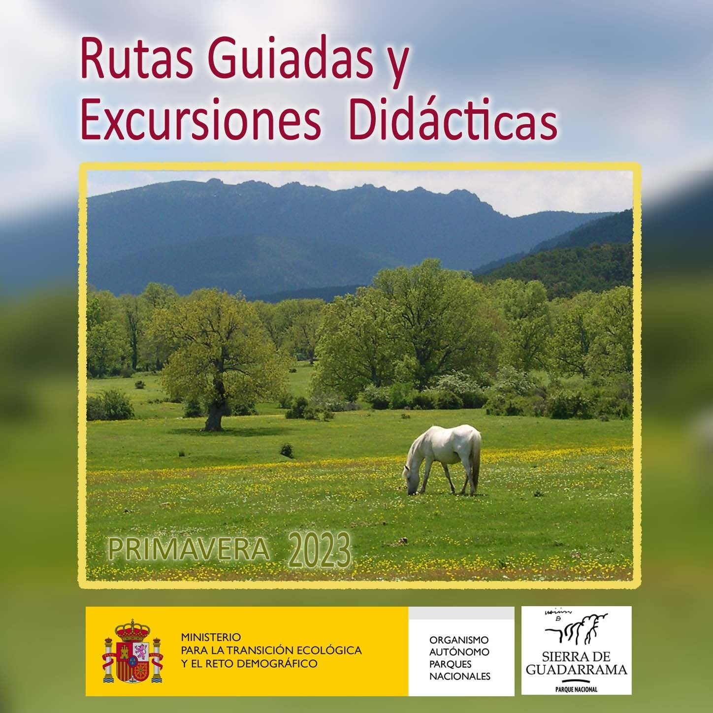 Las Rutas de Primavera por los Montes de Valsaín regresan este fin de semana Las Rutas de Primavera por los Montes de Valsaín regresan este fin de semana
