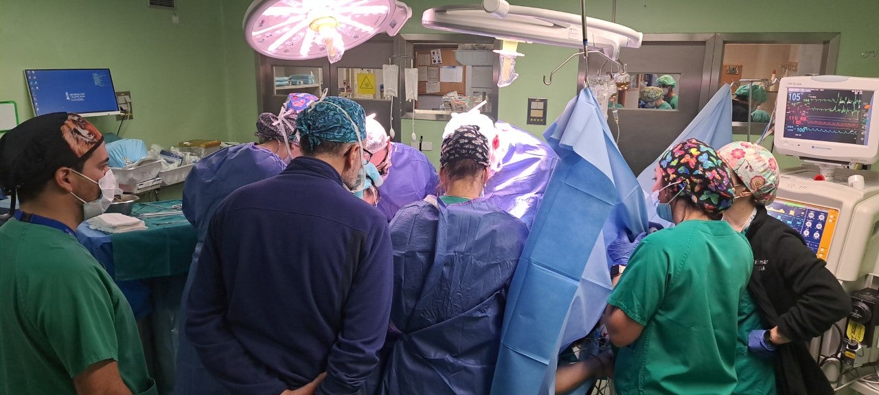 16 trasplantes en 15 días en el Hospital Doctor Balmis de Alicante, lo que supone un 50% más de estas intervenciones 16 trasplantes en 15 días en el Hospital Doctor Balmis de Alicante, lo que supone un 50% más de estas intervenciones