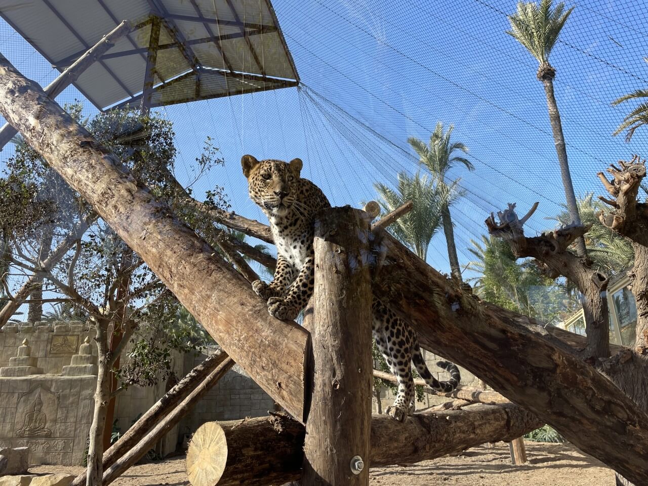 Río Safari Elche celebra sus cuarenta años como referente de ocio en la provincia Río Safari Elche celebra sus cuarenta años como referente de ocio en la provincia