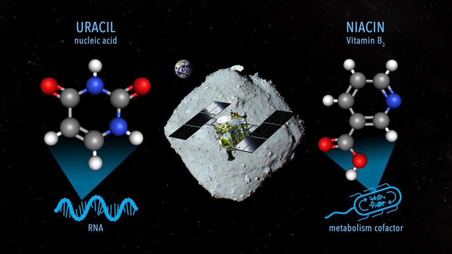 Una "letra" del ARN encontrada en el asteroide Riugu Una "letra" del ARN encontrada en el asteroide Riugu