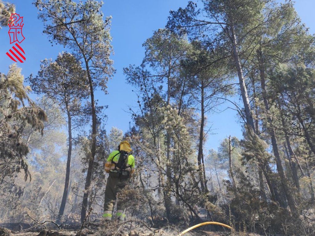 Extinguido el incendio forestal declarado hace 20 días en Villanueva de Viver Extinguido el incendio forestal declarado hace 20 días en Villanueva de Viver
