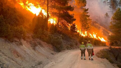 El incendio de la provincia de Castell&oacute;n ha afectado a uno de los pulmones verdes del mediterr&aacute;neo y al coraz&oacute;n de todos los castellonenses