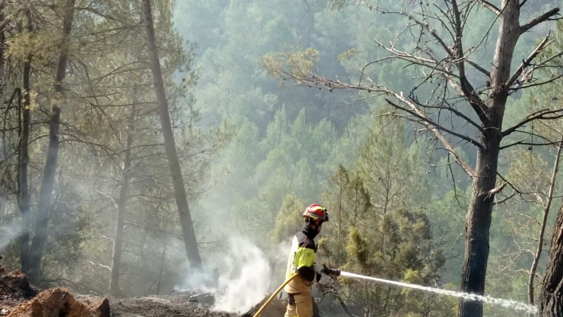 Dos dotaciones de bomberos de la Diputación de Teruel se han sumado hoy al operativo