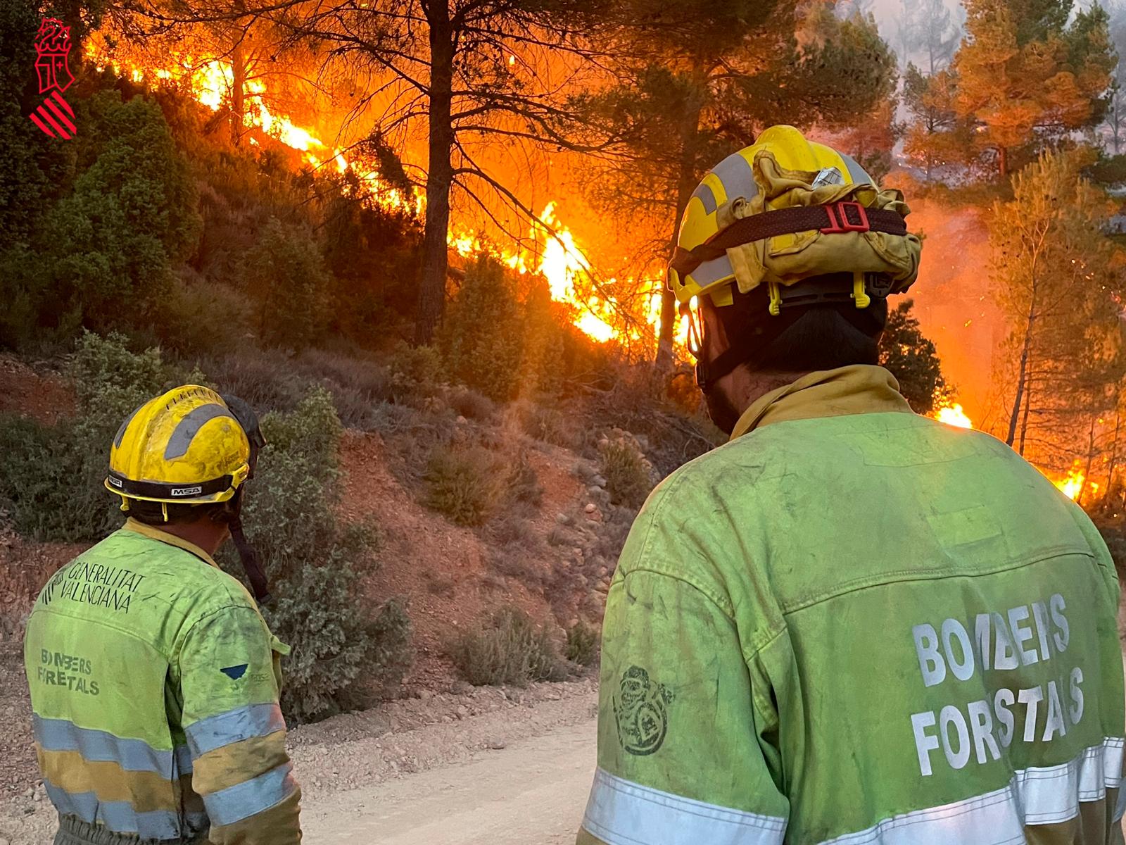 El incendio en la provincia de Castellón, en imágenes: se mantiene el despliegue terrestre y la entrada de 23 medios aéreos El incendio en la provincia de Castellón, en imágenes: se mantiene el despliegue terrestre y la entrada de 23 medios aéreos