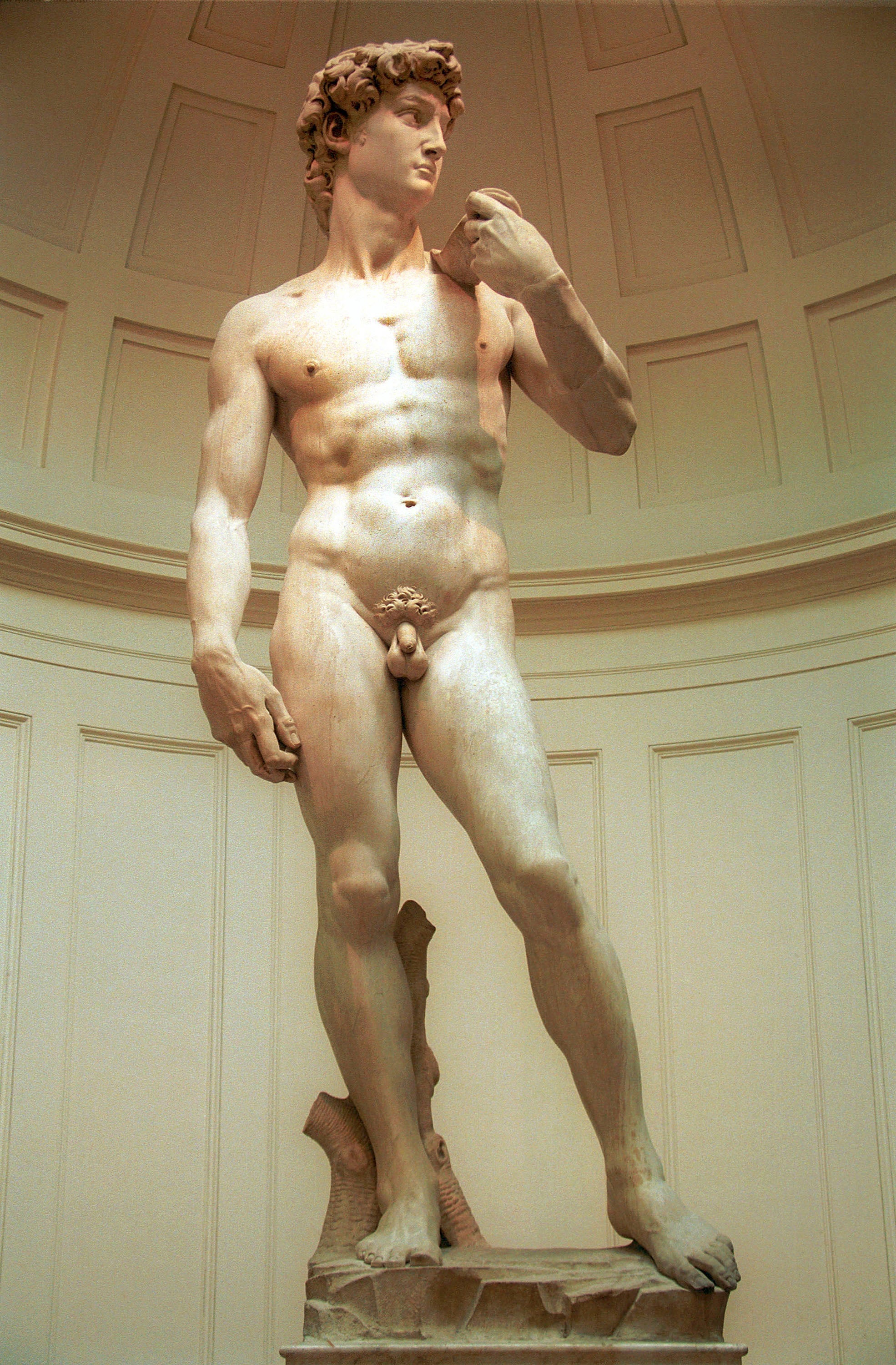 La profesora acusada de pornografía por enseñar el 'David' de Miguel Ángel recibirá un premio en Florencia La profesora acusada de pornografía por enseñar el 'David' de Miguel Ángel recibirá un premio en Florencia