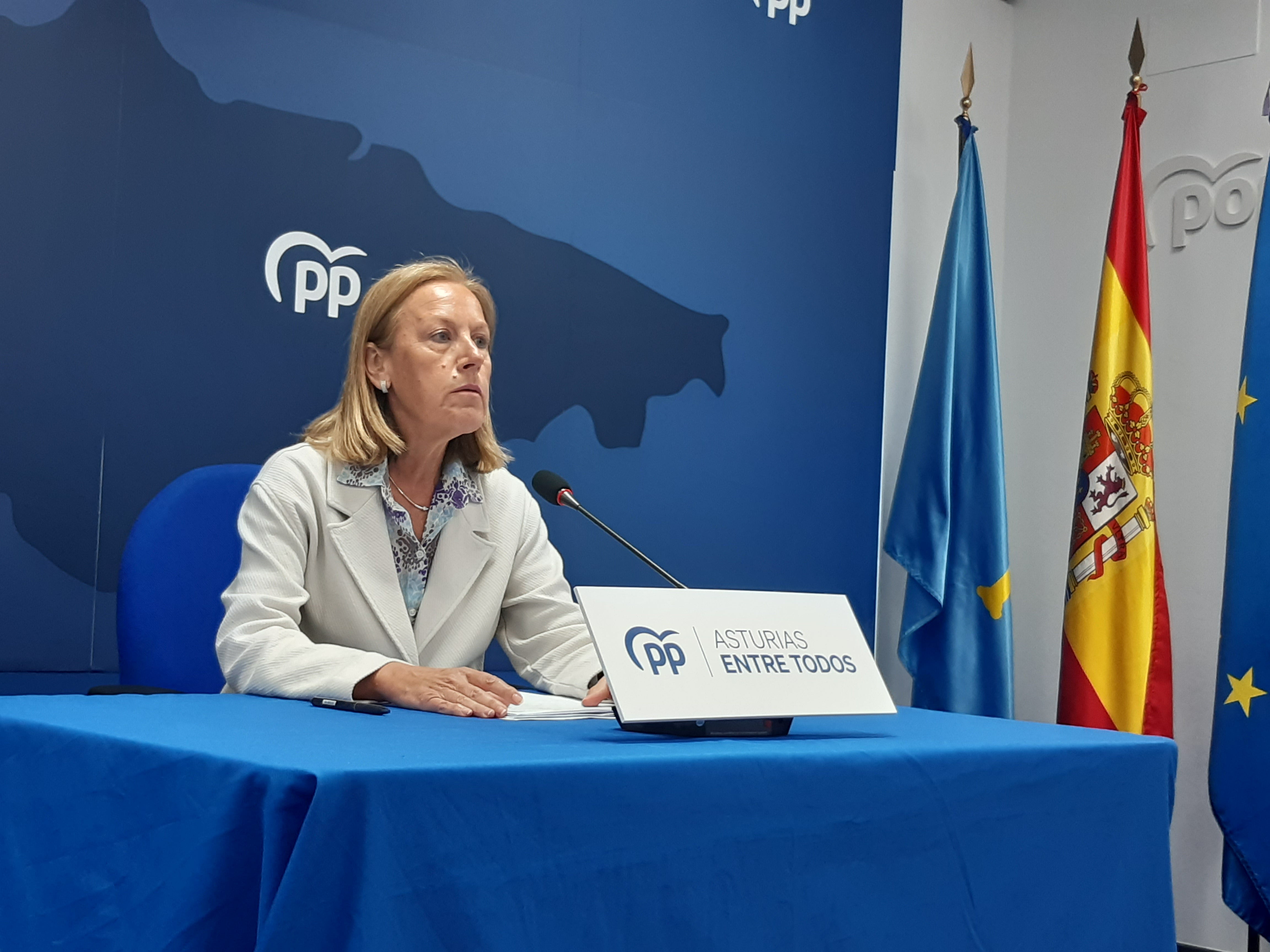 El PP de Asturias defiende que todas las vacunas infantiles y juveniles sean financiadas por el Principado El PP de Asturias defiende que todas las vacunas infantiles y juveniles sean financiadas por el Principado