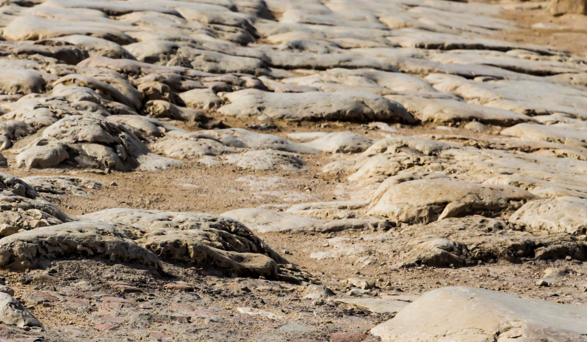 Las obras del TAV destapan en Júndiz restos de una calzada romana con 1.700 años de antigüedad Las obras del TAV destapan en Júndiz restos de una calzada romana con 1.700 años de antigüedad