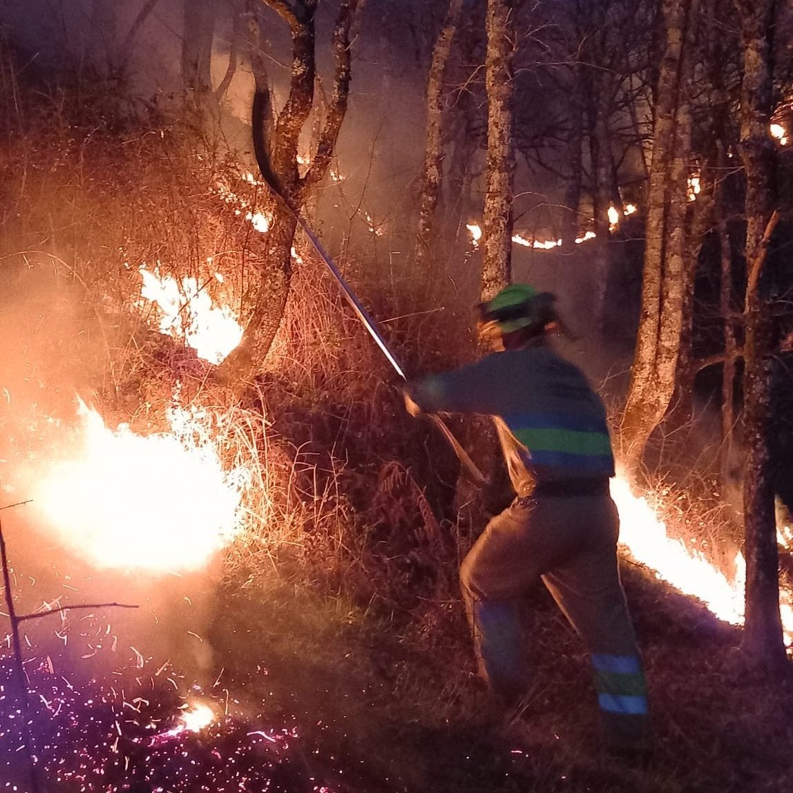 Más sequía o inundaciones: los otros efectos de los incendios forestales Más sequía o inundaciones: los otros efectos de los incendios forestales