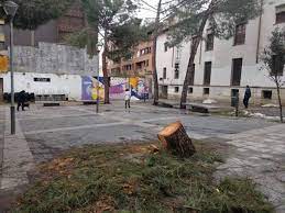 Las Plazas de Prim y S.Esteban se unen Las Plazas de Prim y S.Esteban se unen