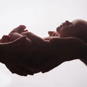 Bebé sostenido en unas manos Bebé sostenido en unas manos