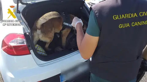 Detenido por tráfico de drogas mientras iba en un viaje compartido Detenido por tráfico de drogas mientras iba en un viaje compartido