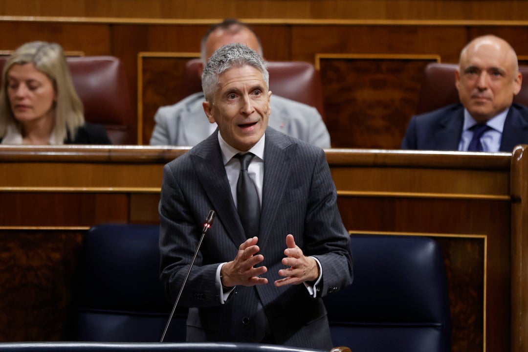 Marlaska afirma que el motivo para el cese del coronel Pérez de los Cobos "se mantiene en la actualidad" Marlaska afirma que el motivo para el cese del coronel Pérez de los Cobos "se mantiene en la actualidad"