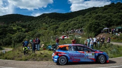 Surhay&eacute;n Pern&iacute;a .- Hyundai