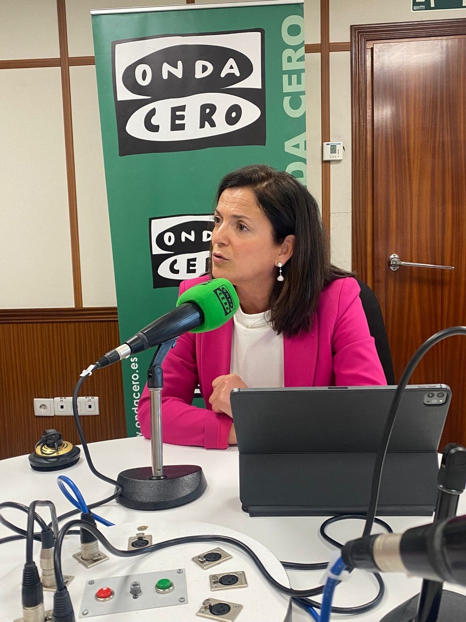 Beatriz Artolazabal: “La movilidad es algo más que el BEI” Beatriz Artolazabal: “La movilidad es algo más que el BEI”