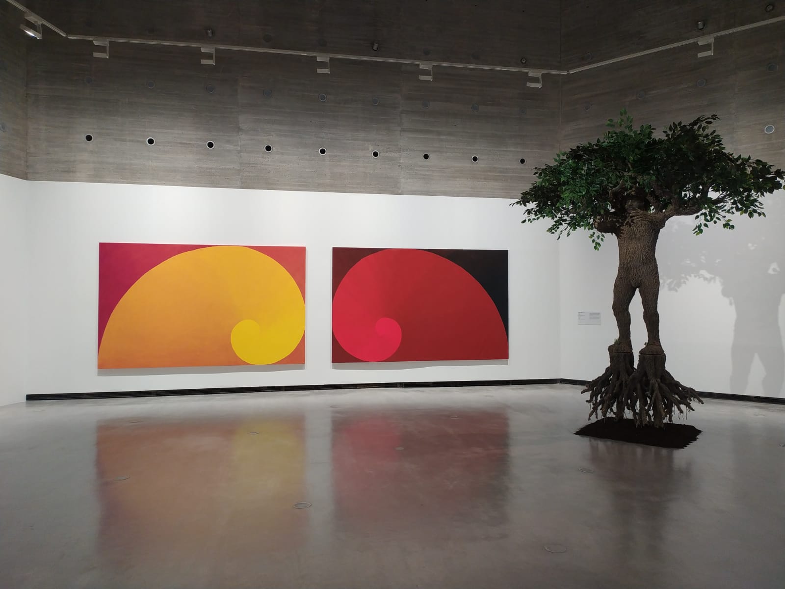 El C3A revisa las últimas dos décadas del artista andaluz Federico Guzmán El C3A revisa las últimas dos décadas del artista andaluz Federico Guzmán