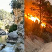 El incendio de la provincia de Castellón ha afectado a uno de los pulmones verdes del mediterráneo y al corazón de todos los castellonenses