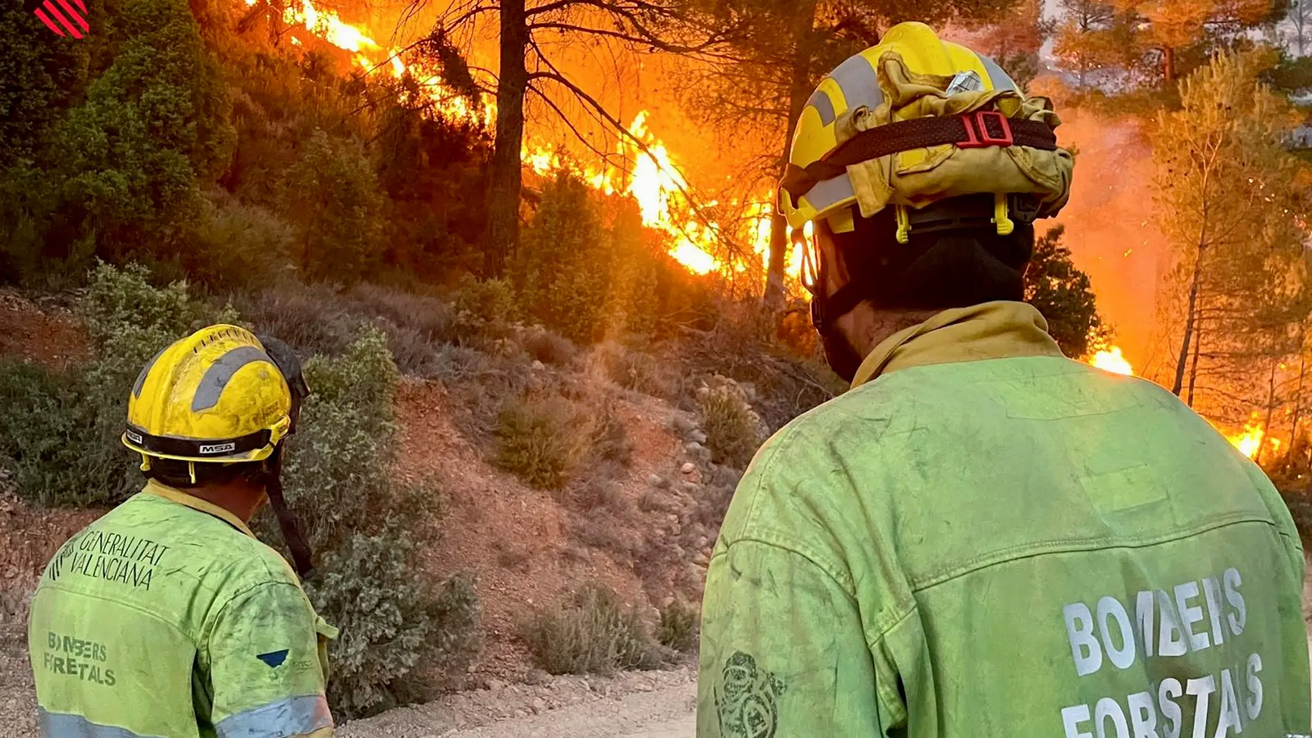 El incendio de Castellón ya ha quemado 12 millones de euros de valor natural