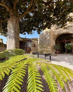 El Palacio de los Velarde de Santillana del Mar estrena proyecto El Palacio de los Velarde de Santillana del Mar estrena proyecto