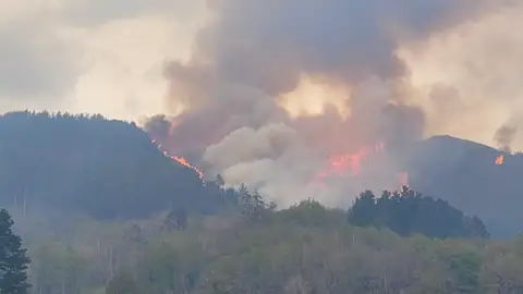 Incendio en Ques Incendio en Ques