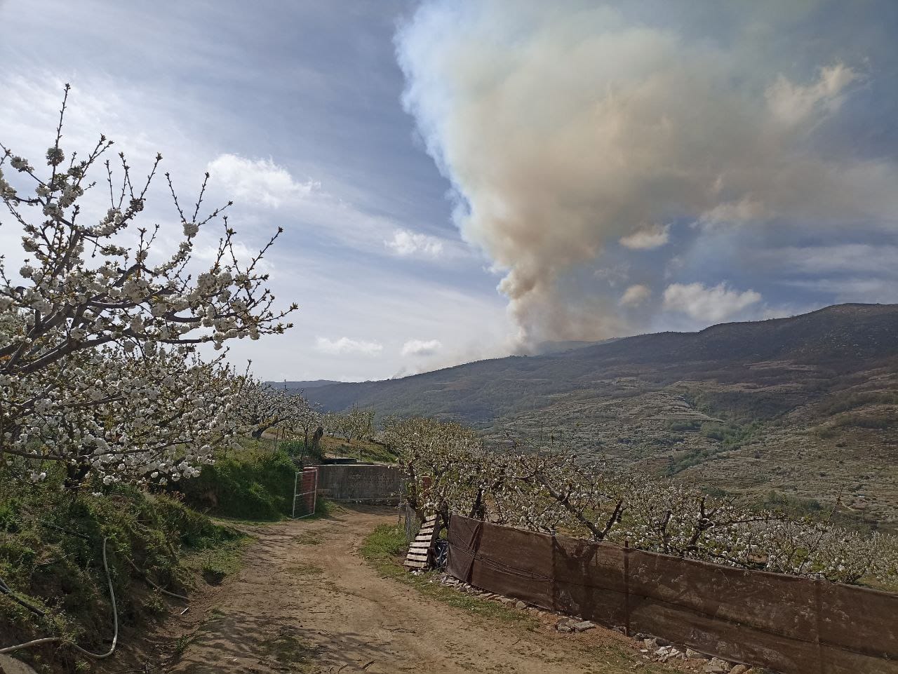 Medios aéreos y terrestres participan en la extinción de un incendio forestal en Navaconcejo Medios aéreos y terrestres participan en la extinción de un incendio forestal en Navaconcejo