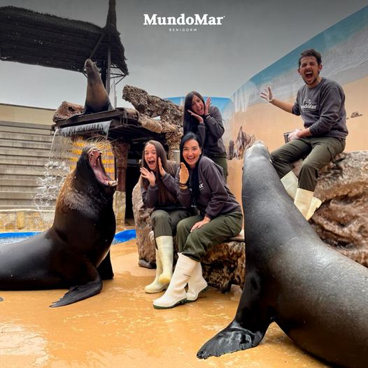 Mundomar, el parque de naturaleza de Benidorm inicia temporada Mundomar, el parque de naturaleza de Benidorm inicia temporada