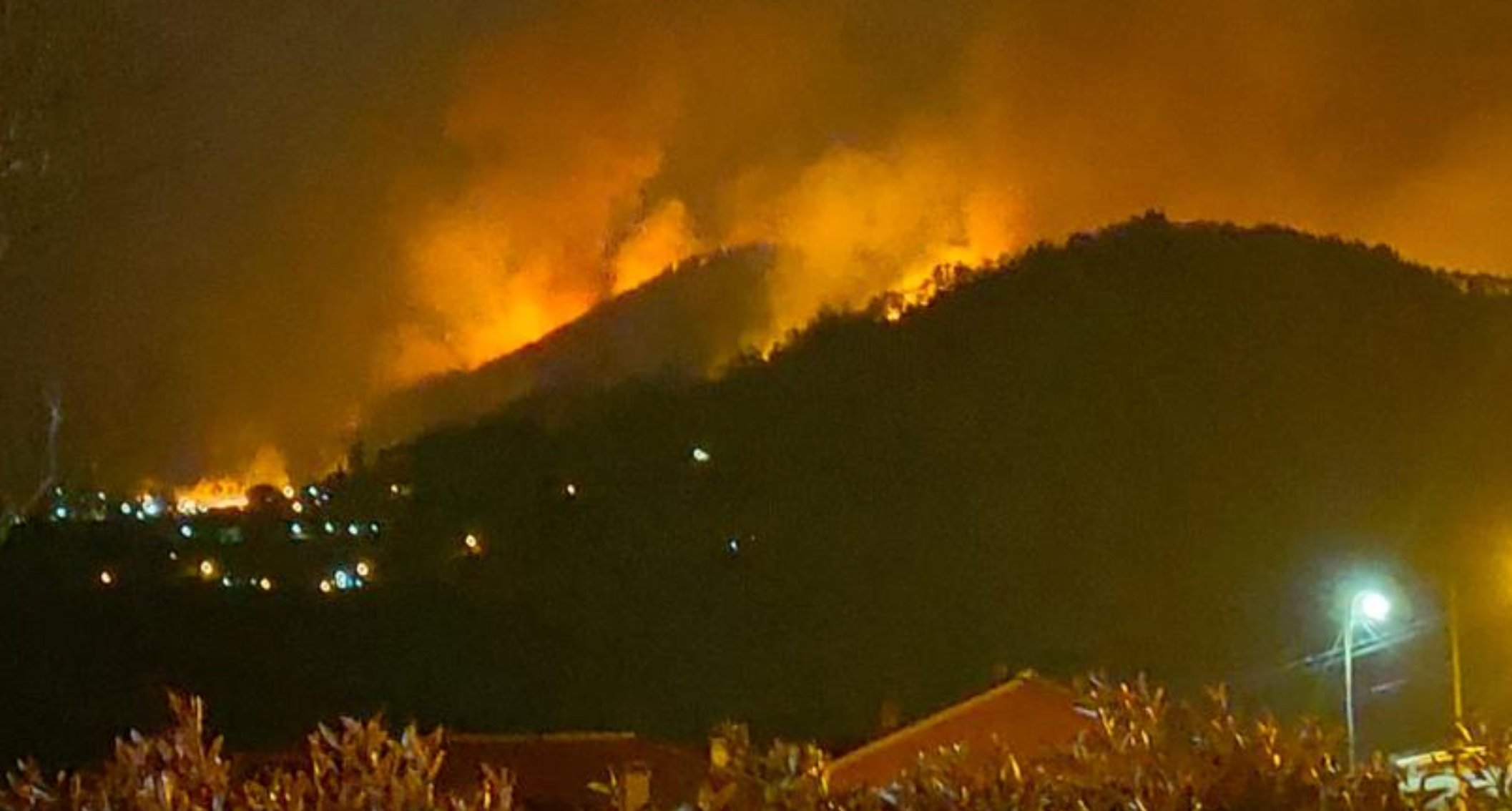 Las pérdidas por los incendios en Piloña y Nava pueden sumar millones de euros Las pérdidas por los incendios en Piloña y Nava pueden sumar millones de euros