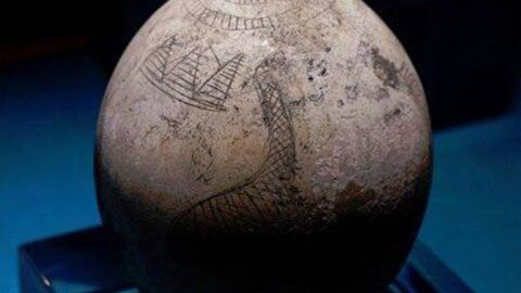 https:www.espaciomisterio.com/historia-oculta/resuelven-misterio-huevo-avestruz-con-piramides_57010
