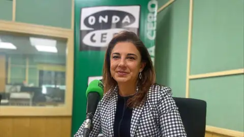 Raquel Ruz, edil de movilidad del Ayuntamiento de Granada Raquel Ruz, edil de movilidad del Ayuntamiento de Granada