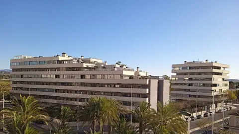 Elche. Elche.
