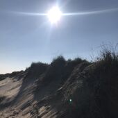 Archivo - Sol, calor, playa.