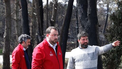 El presidente asturiano y el consejero de Desarrollo Rural visitan zonas quemadas por los incendios en el concejo de Vald&eacute;s junto al alcalde