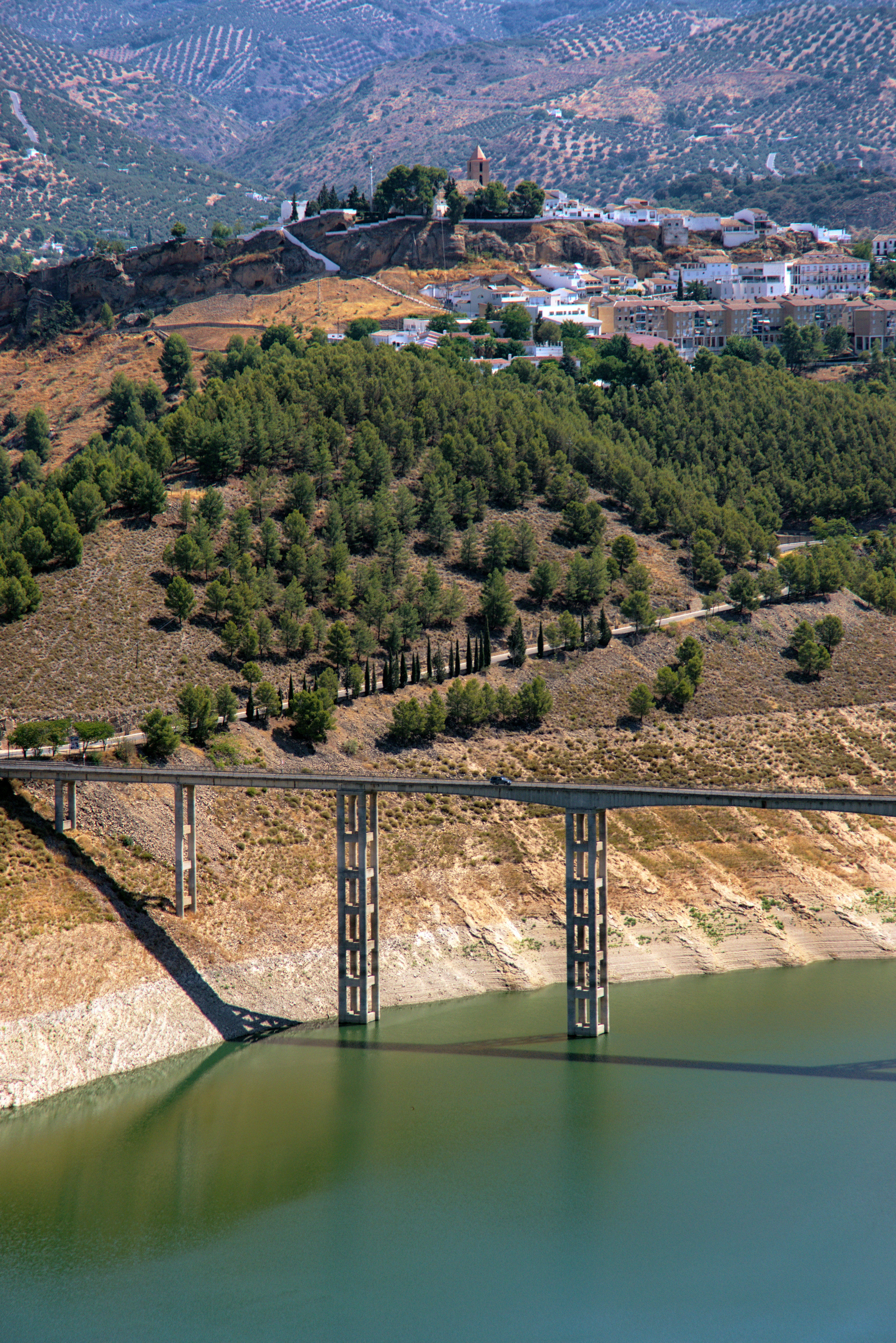 Juan Valero de Palma: "El 16% de la pérdida de disponibilidad de agua se debe a la aprobación, a veces un poco alegre, optimista e imprudente, de los caudales ecológicos" Juan Valero de Palma: "El 16% de la pérdida de disponibilidad de agua se debe a la aprobación, a veces un poco alegre, optimista e imprudente, de los caudales ecológicos"